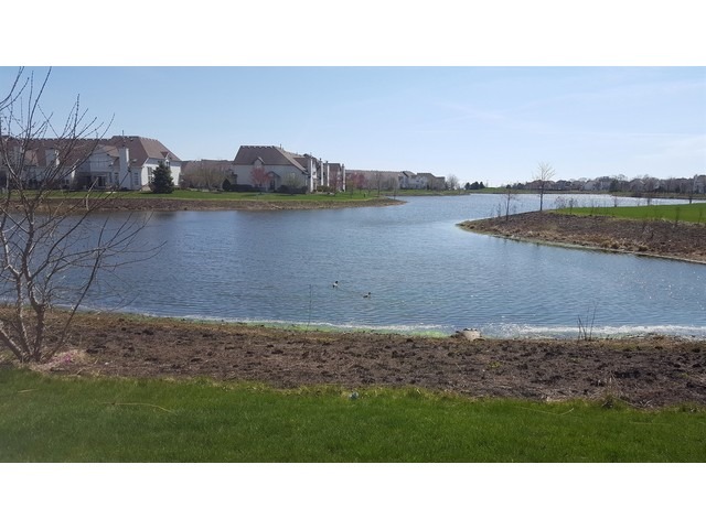 11900 Holly Ct, Plainfield, IL 60585 photo 18
