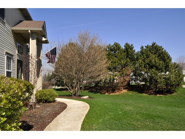 11900 Holly Ct, Plainfield, IL 60585 photo 3