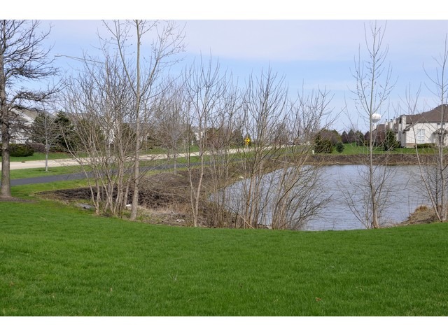 11900 Holly Ct, Plainfield, IL 60585 photo 17