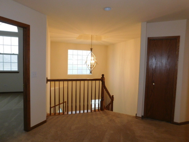 16320 Springview Dr, Lockport, IL 60441 photo 22