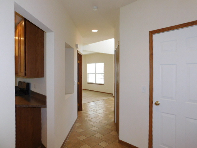 16320 Springview Dr, Lockport, IL 60441 photo 14
