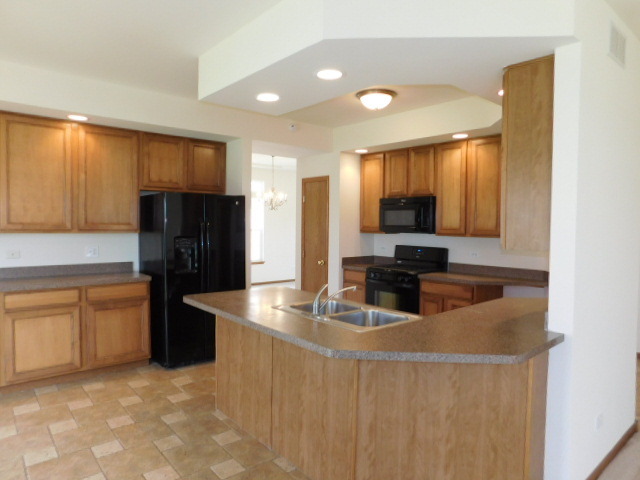 16320 Springview Dr, Lockport, IL 60441 photo 9