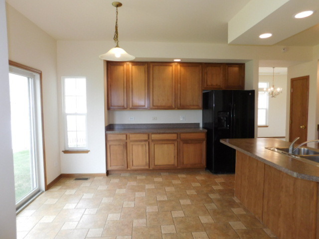 16320 Springview Dr, Lockport, IL 60441 photo 8