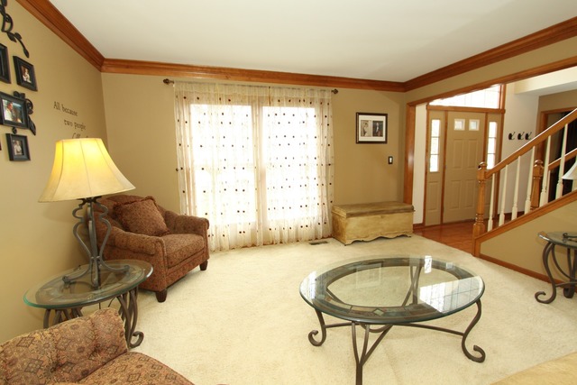 13609 Eagle Ridge Ct, Plainfield, IL 60585 photo 3
