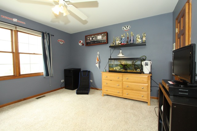 13609 Eagle Ridge Ct, Plainfield, IL 60585 photo 14