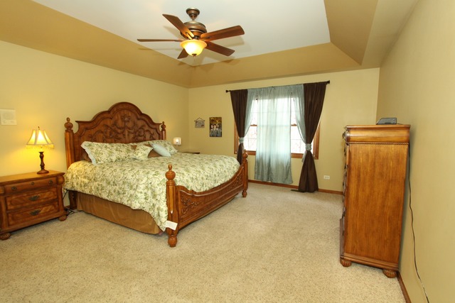13609 Eagle Ridge Ct, Plainfield, IL 60585 photo 11