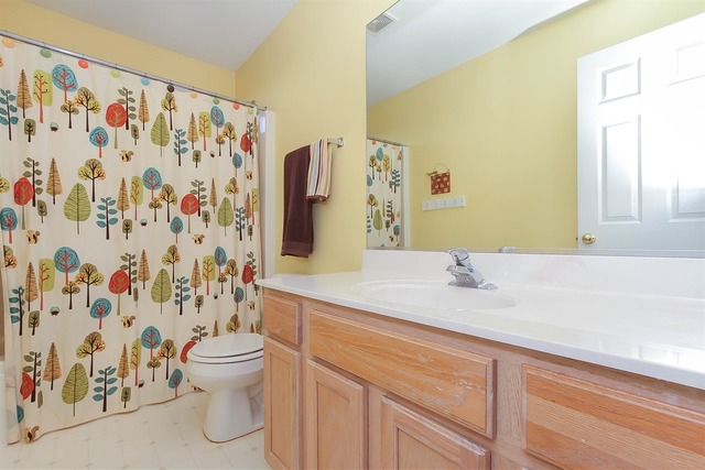 243 Gregory M Sears Dr, Gilberts, IL 60136 photo 20