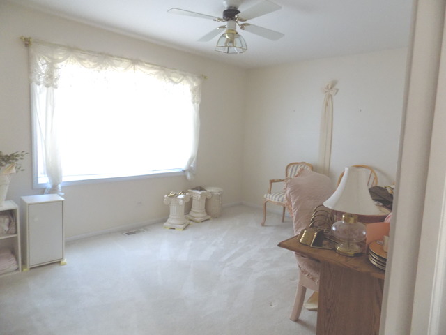 20121 Overland Trl, Olympia Fields, IL 60461 photo 18