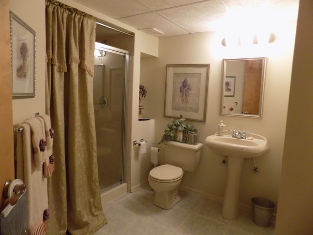 20121 Overland Trl, Olympia Fields, IL 60461 photo 9