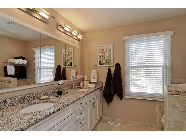101 Fallstone Dr, Lincolnshire, IL 60069 photo 19