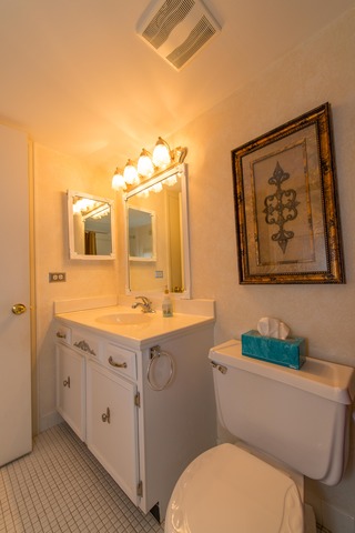 5601 Carriageway Dr #207, Rolling Meadows, IL 60008 photo 16