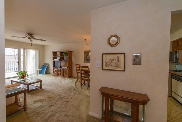 5601 Carriageway Dr #207, Rolling Meadows, IL 60008 photo 6