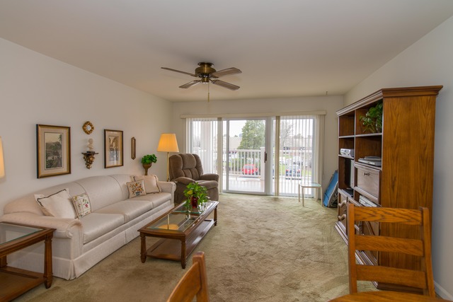 5601 Carriageway Dr #207, Rolling Meadows, IL 60008 photo 9