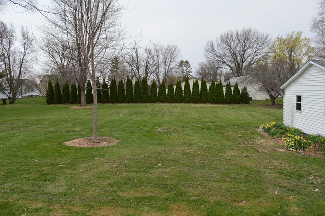 209 W Third St, Wyanet, IL 61379 photo 4