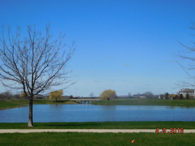 14911 Meadow Ln, Plainfield, IL 60544 photo 3