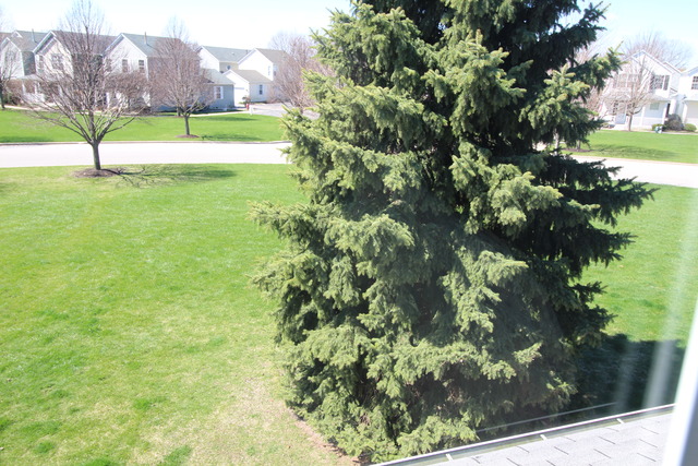 4127 Rivertowne Dr, Plainfield, IL 60586 photo 5