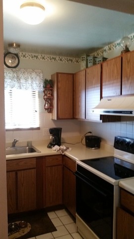 267 12th St #6F, Wheeling, IL 60090 photo 3
