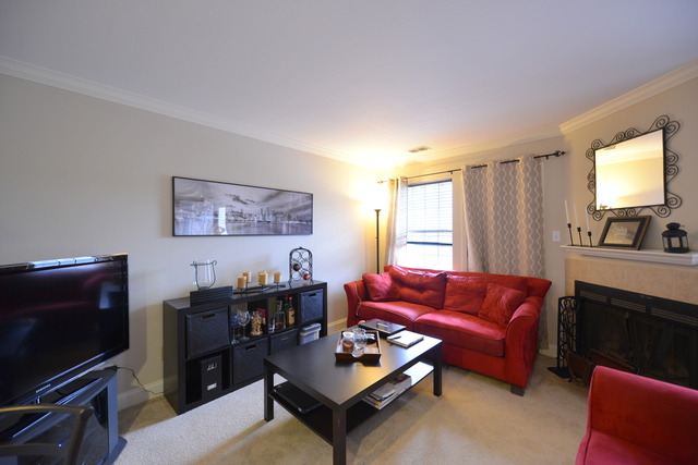 1313 E Wyndham Cir #102, Palatine, IL 60067 photo 3