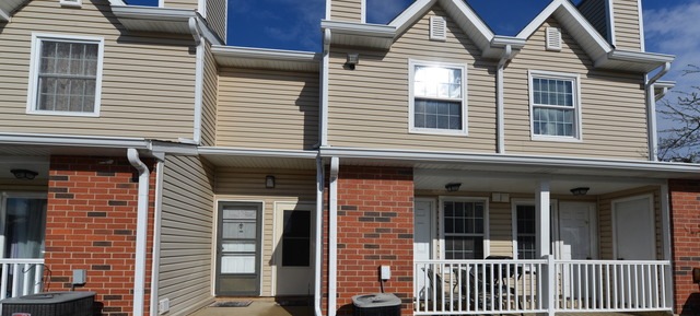 1313 E Wyndham Cir #102, Palatine, IL 60067 photo 1