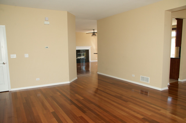 335 Weymouth Ave, Elgin, IL 60124 photo 8
