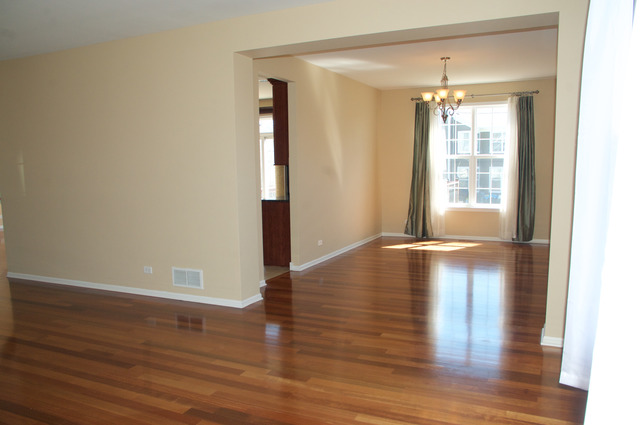 335 Weymouth Ave, Elgin, IL 60124 photo 7