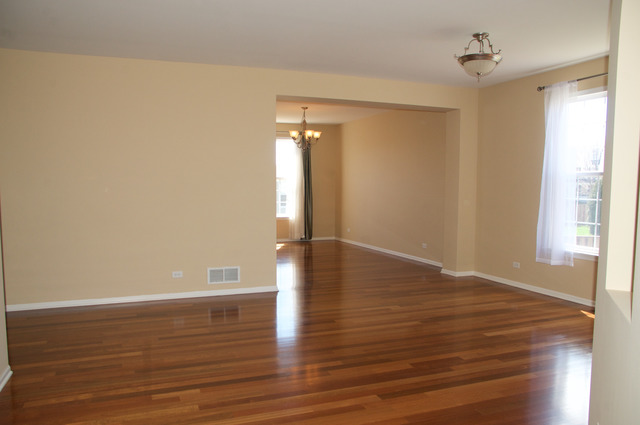 335 Weymouth Ave, Elgin, IL 60124 photo 9