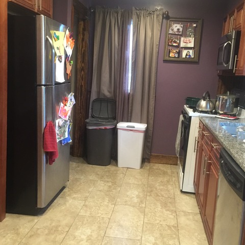 1003 2nd Ave, Aurora, IL 60505 photo 5