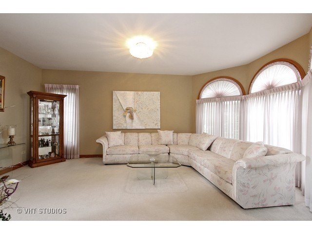 20135 Mohawk Trl, Olympia Fields, IL 60461 photo 3