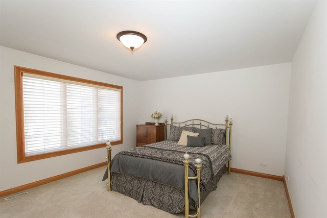 9 Cutters Run, Barrington, IL 60010 photo 15