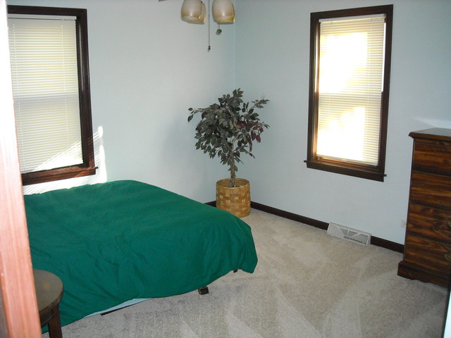 16121 Hamlin Ave, Markham, IL 60428 photo 20
