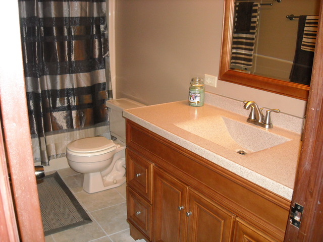 16121 Hamlin Ave, Markham, IL 60428 photo 15
