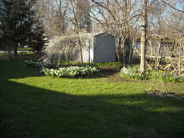 16121 Hamlin Ave, Markham, IL 60428 photo 3