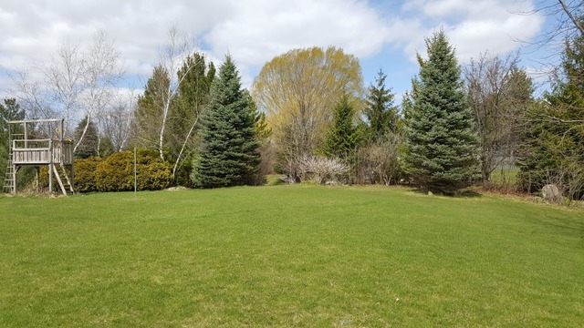 1708 Pine St, Spring Grove, IL 60081 photo 13