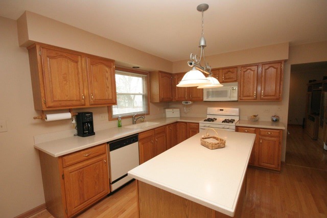 1066 Wakefield Dr, Elgin, IL 60120 photo 5