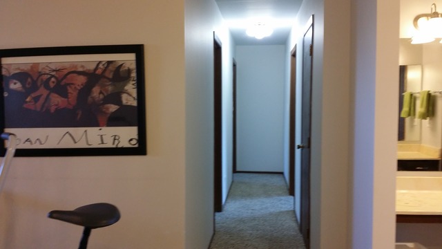 1185 W Dovington Dr, Hoffman Estates, IL 60169 photo 17