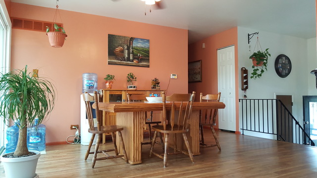 876 Carl Ave, Elgin, IL 60120 photo 5
