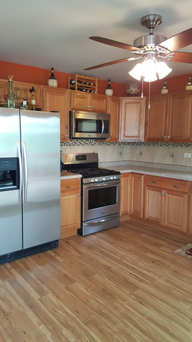 876 Carl Ave, Elgin, IL 60120 photo 7