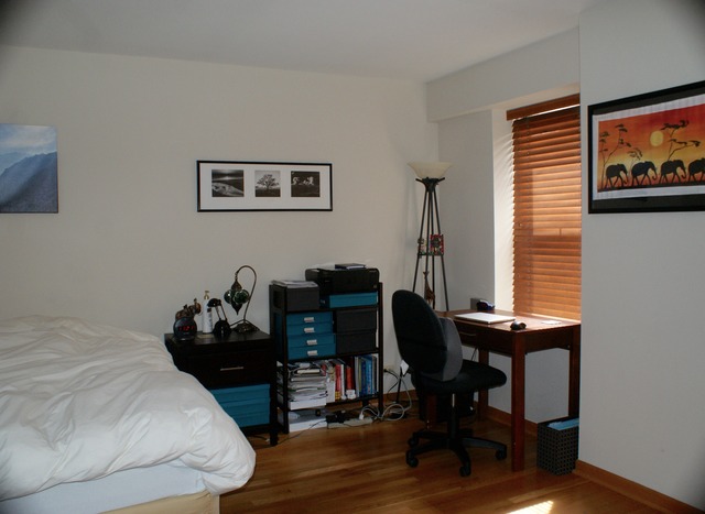 40 E 9th St #501, Chicago, IL 60605 photo 5