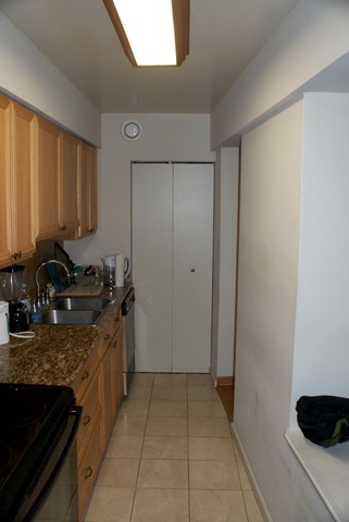 40 E 9th St #501, Chicago, IL 60605 photo 6