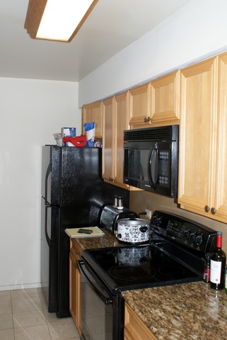 40 E 9th St #501, Chicago, IL 60605 photo 7