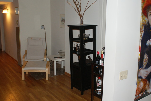 40 E 9th St #501, Chicago, IL 60605 photo 9