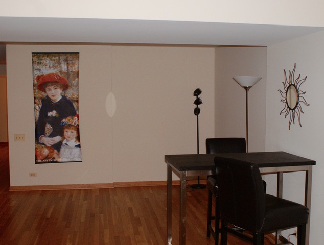 40 E 9th St #501, Chicago, IL 60605 photo 8