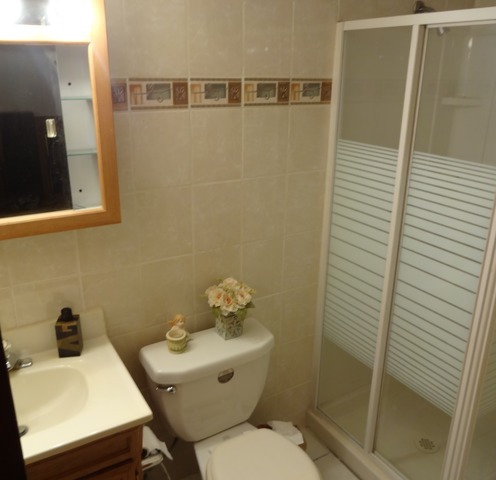 1418 E Lincoln Ave, Des Plaines, IL 60018 photo 19