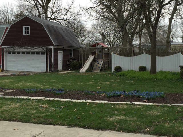 201 S Grape St, Morrison, IL 61270 photo 2