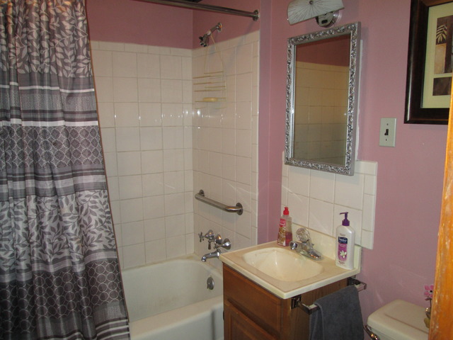 3351 S Schultz Dr, Lansing, IL 60438 photo 10