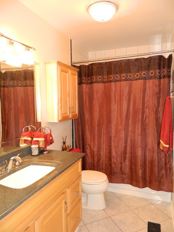 1690 Bicek Dr, Hoffman Estates, IL 60192 photo 12
