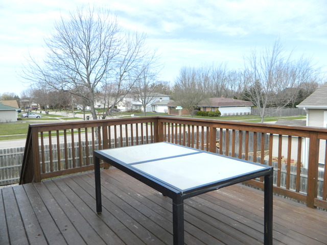 1690 Bicek Dr, Hoffman Estates, IL 60192 photo 19