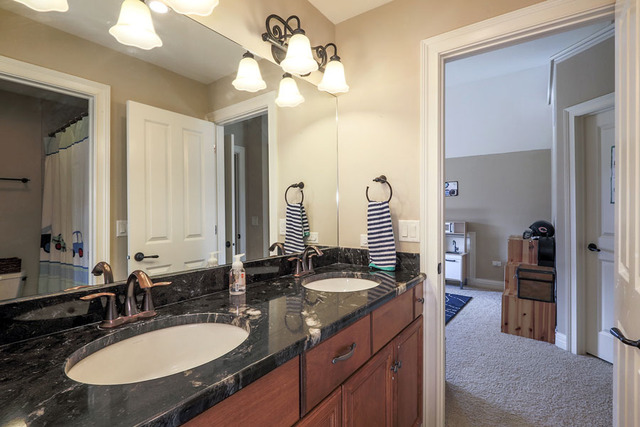 1204 Tranquility Ct, Naperville, IL 60540 photo 23