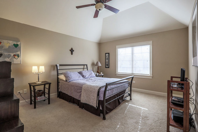 1204 Tranquility Ct, Naperville, IL 60540 photo 21