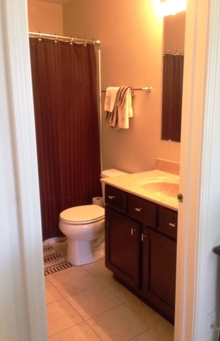 933 W Courtland St, Mundelein, IL 60060 photo 19